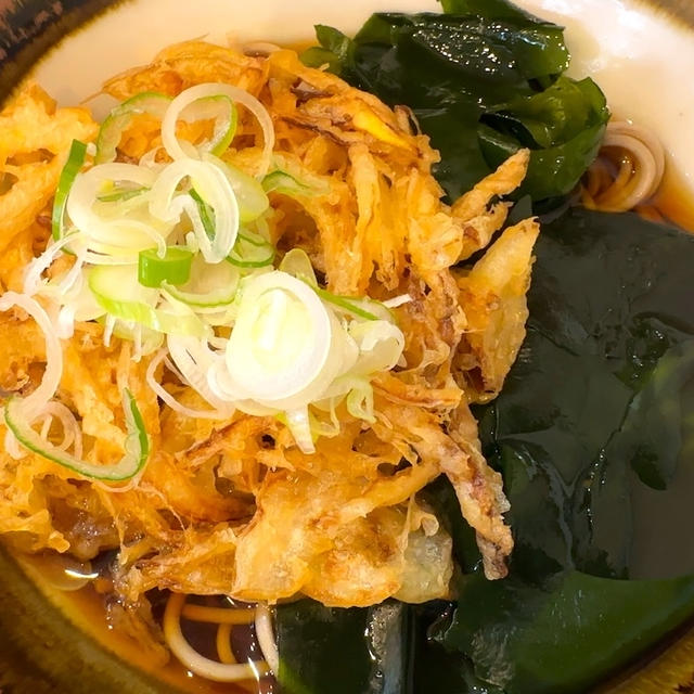 立ち蕎麦行脚「鈴しげの玉ねぎ天そば」