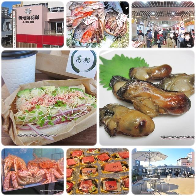 蟹好き必食！本物のかにぱん☆築地魚河岸が楽しすぎた件♪
