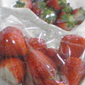 今日は…(θｍθ川