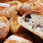神祕難解的探險：麵包發酵