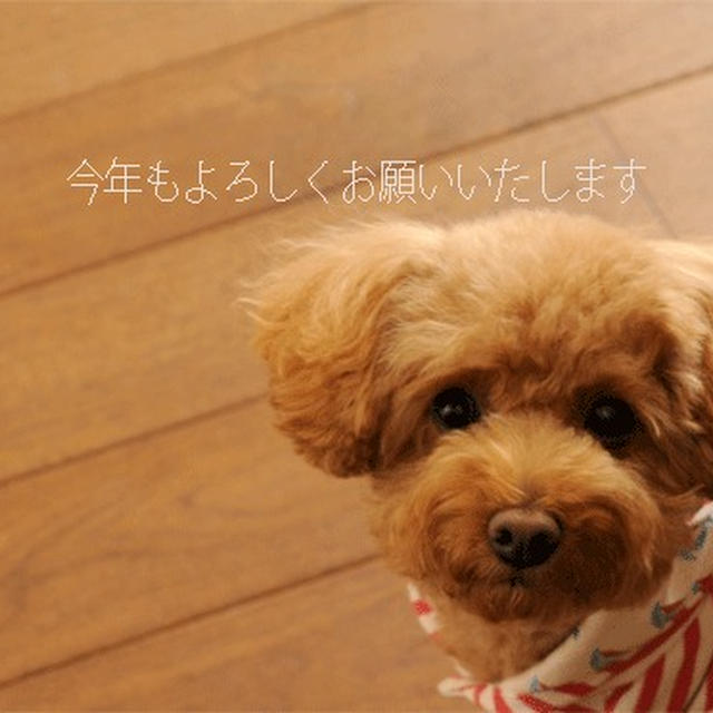 今年もよろしくお願いいたします