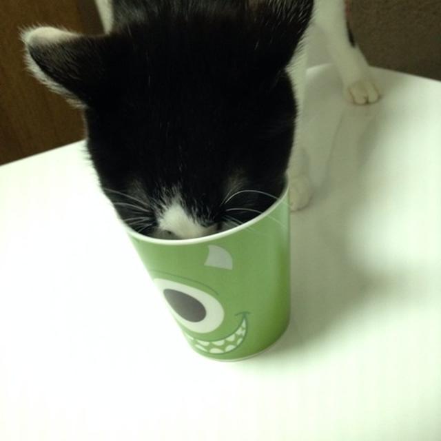 ナポリタンスパゲティ