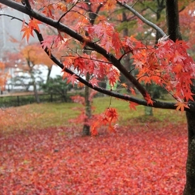 京都三大名所