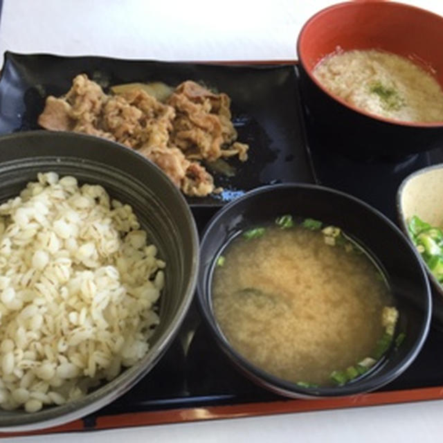 吉野家新千歳空港店