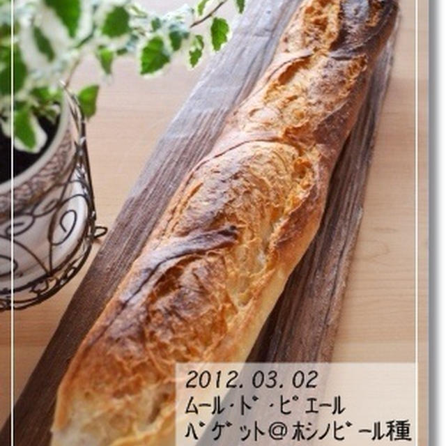 第十八章　ホシノ×ピエールバゲット