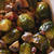 Cavolini e Champignon