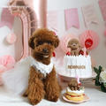 愛犬birthday＊犬用ケーキと撮影用フェイクケーキ＊レシピあり