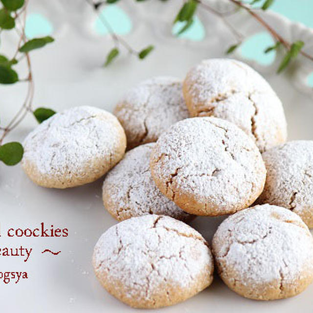 vol26. Oatmeal Coockies ～ Beauty ～