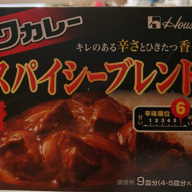 これは.....カレーではない❗️
