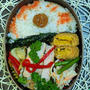 冷やして持って行くけど～夫のお弁当296