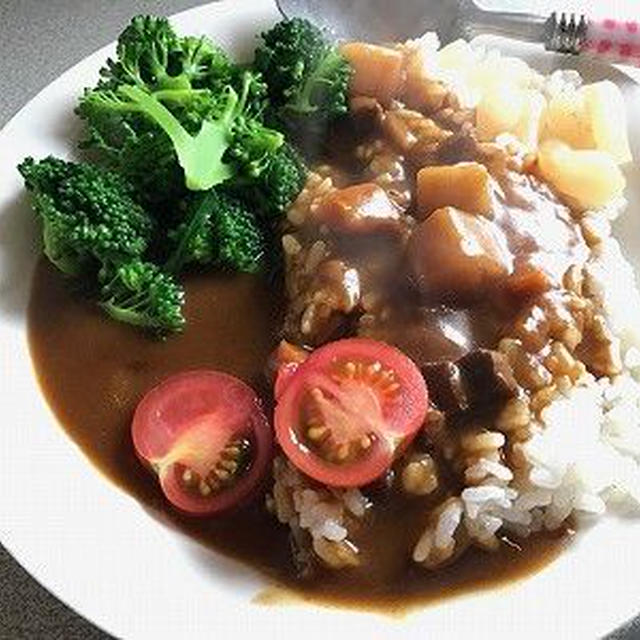 華麗じゃないカレーな昼ご飯。布団で眠るきなこ