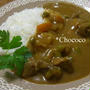 砂肝とにんにくの芽のカレー