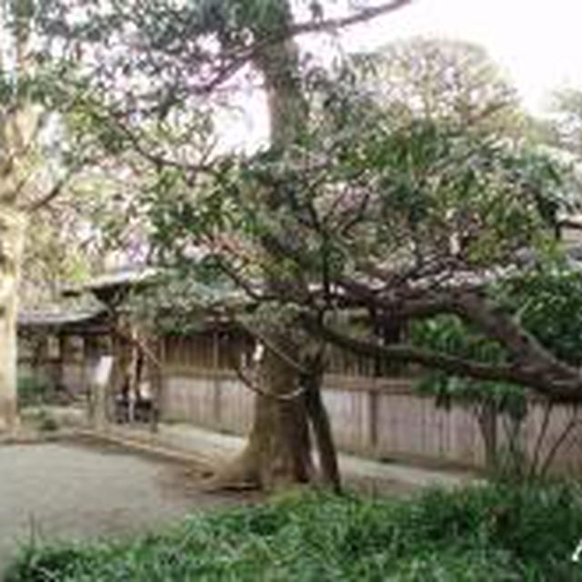 ☆旧前田侯爵邸：和館☆