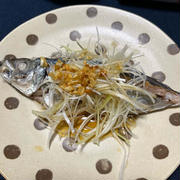 鯵の香味蒸し