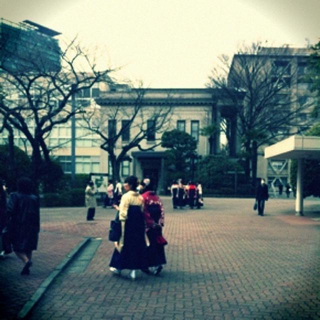 華やかで素敵