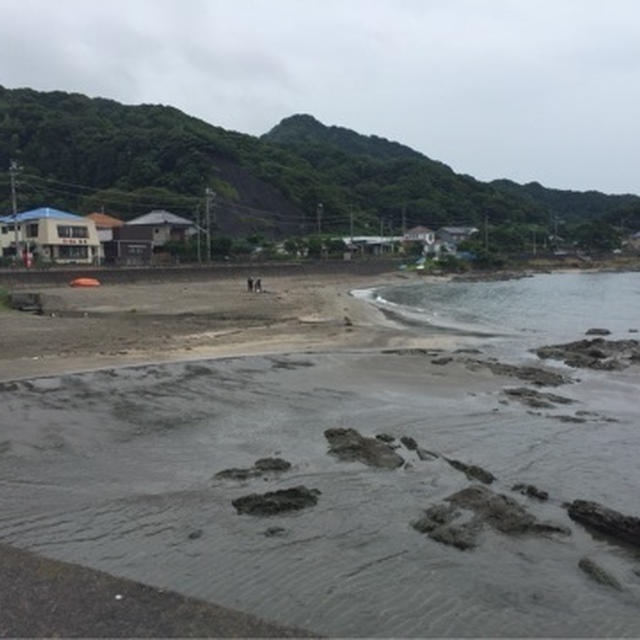 トライアスロン合宿