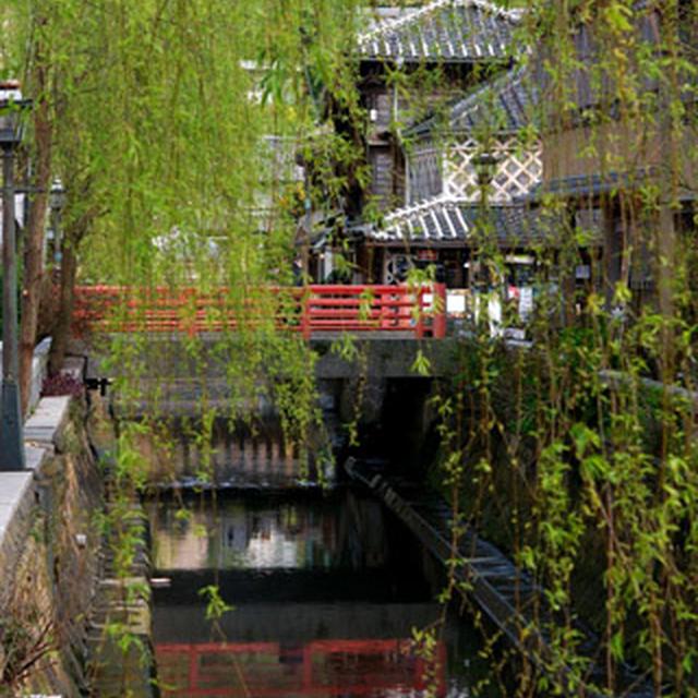 伊豆の旅　?U　下田　箱根