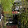 伊豆の旅　?U　下田　箱根