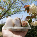 桜の下のおにぎり弁当
