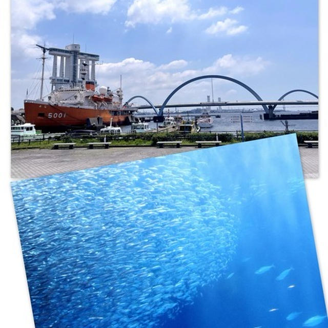 名古屋港水族館