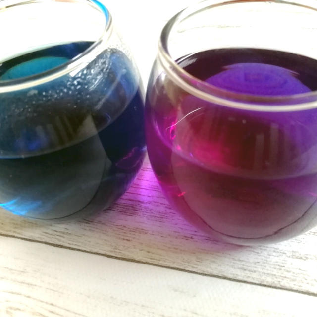 自由研究これいかが！？色が変わる不思議なお茶♪バタフライピー
