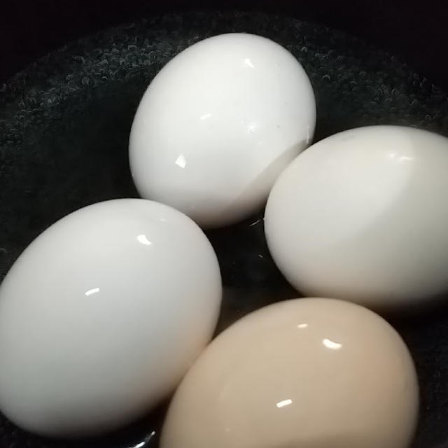 【レシピ】時短ゆで卵