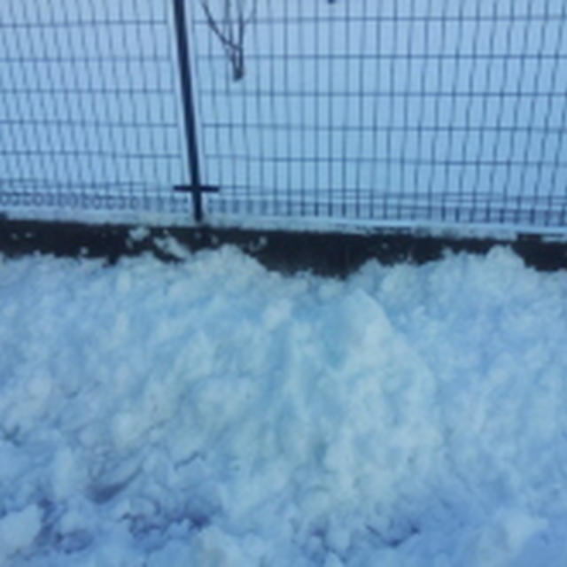 大雪