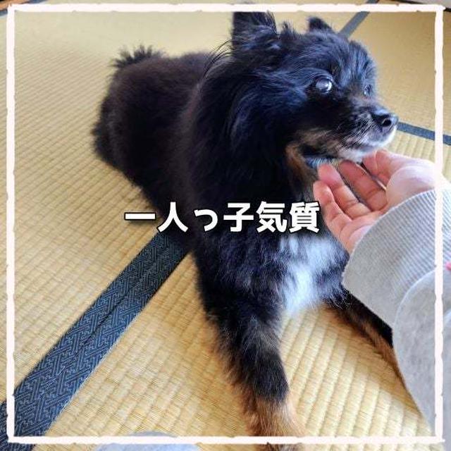 あるべきカタチ