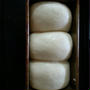 白神こだま酵母 湯種ミルクバター食パン