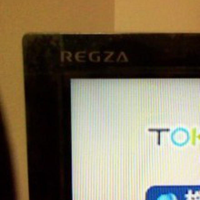 テレビがやってきた！
