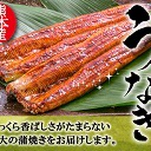 応募してみました