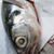 台湾の魚【鉄の甲羅の魚】の正体は？？　料理は○○○○とあわせるのが定番！！