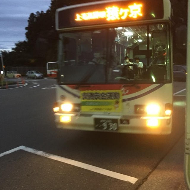 【　ついでに？ひとりちょこっと旅＊湯宿　金田屋さんへ　】
