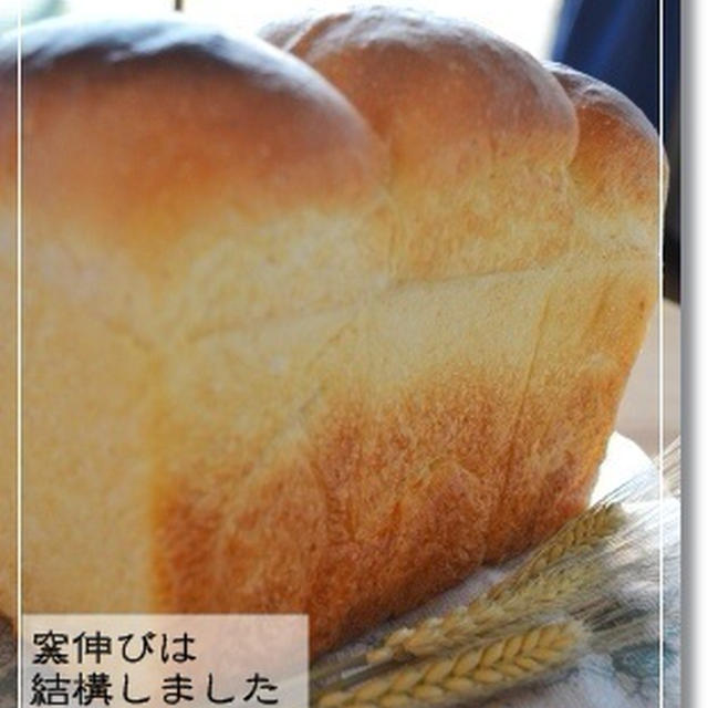 焼き色の悩み…酒種山食
