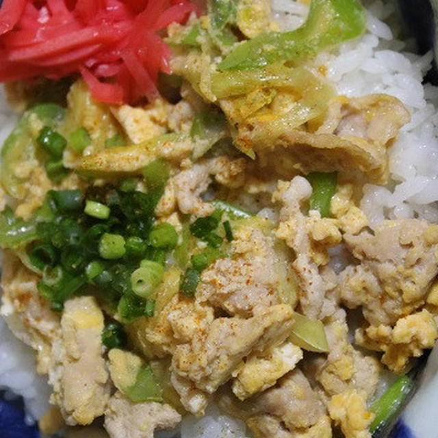 2月3日　　開化丼