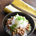 さくっと作れる！漢飯レシピ「混ぜたら完成！イカ納豆丼」～マイナビニュースに掲載