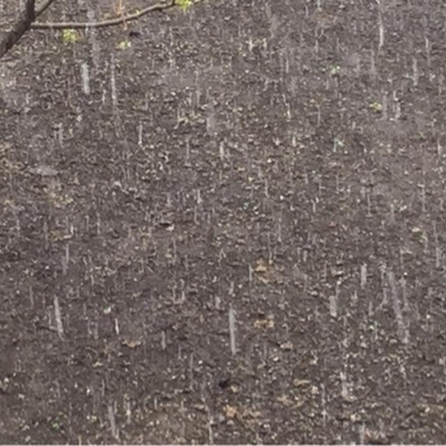 4月なのに雪だなんてー