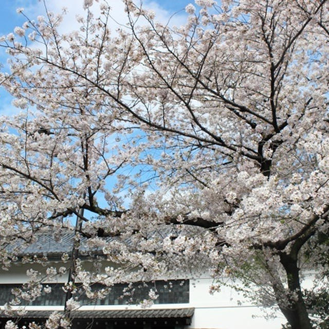 入学のお祝いを・・・❤