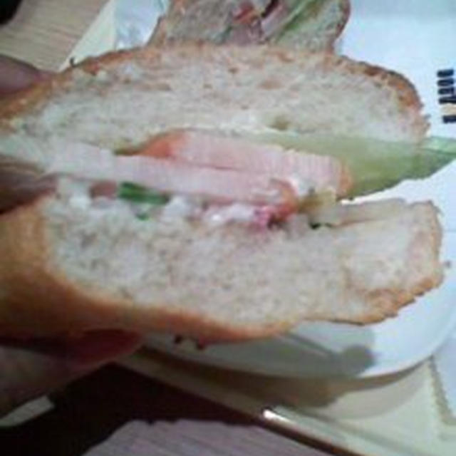 新商品ローストチキンとサワークリームソース～ドトール