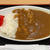 関越道上り　越後川口SA タレカツ丼　歯根膜炎だからミニカレーライス