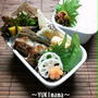 さごしのマヨワインハーブソテー～パパのお弁当～