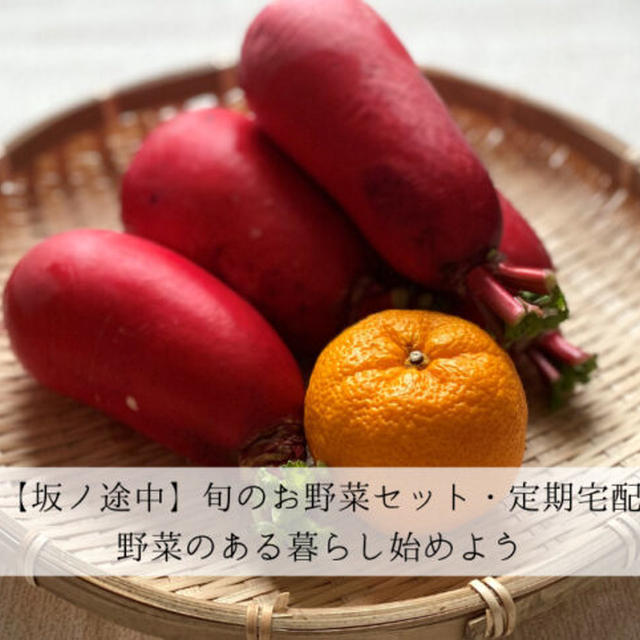 【坂ノ途中】旬のお野菜セット・定期宅配 | 野菜のある暮らしを始めよう！