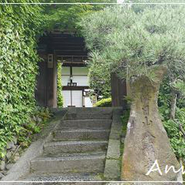 ☆2011 梅雨の京都⑤：金福寺（芭蕉庵）☆