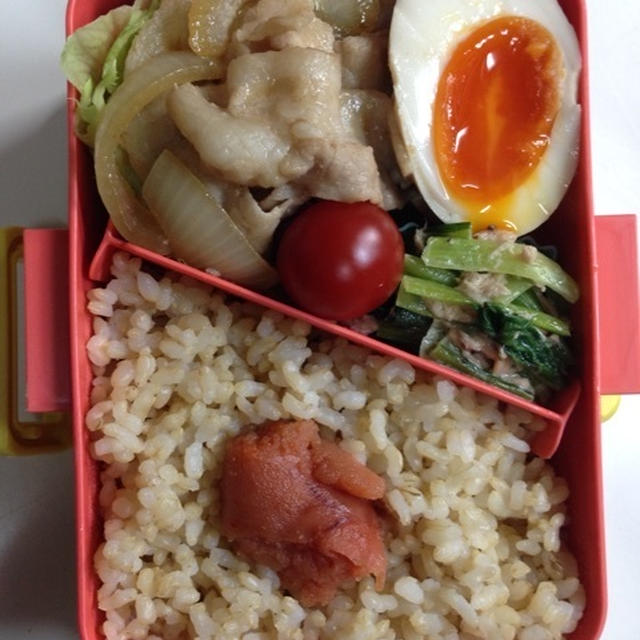 生姜焼き弁当♪