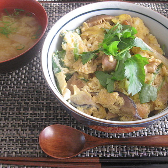 ちょっと煮込んだ親子丼