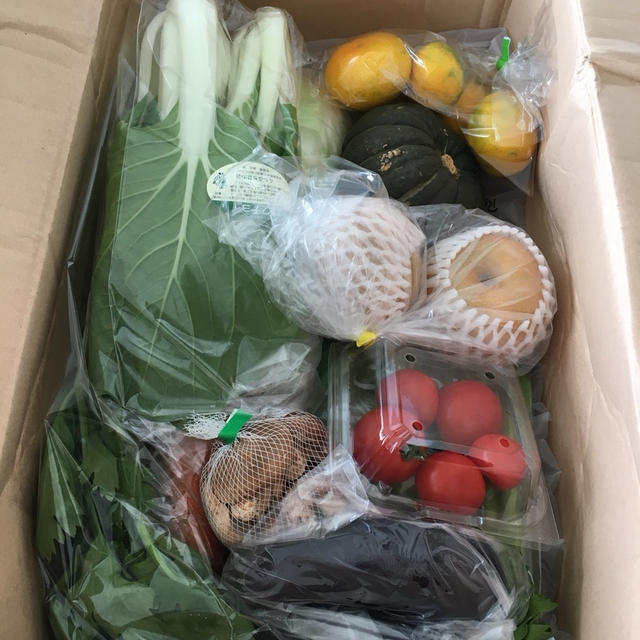 美味しい野菜と果物が届きました！！