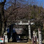 【地元の八菅神社参拝】今年も正月2日に娘夫婦とお参り行きました♪