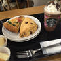 スタバ☆サクラを無視w