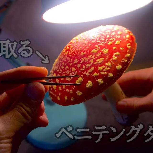 ☠️毒キノコ☠️ベニテングタケの白いつぶつぶを全部取ってみたら...衝撃的な姿に!?