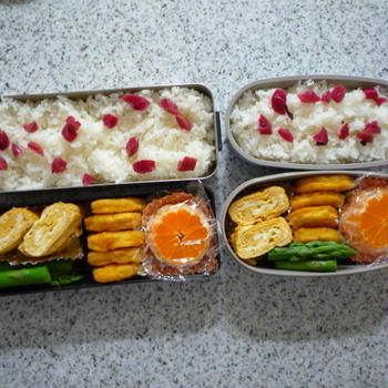 今日のお弁当